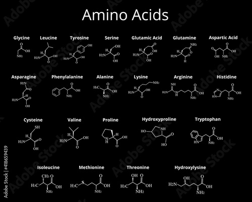Amino acids. Chemical molecular formula of amino acids. Vector illustration on isolated background