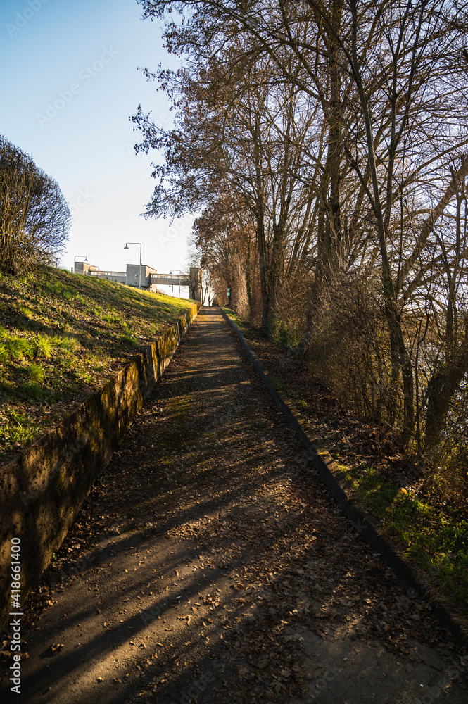 A vertical shot of a pathway surrounded by trees and greenery A vertical shot of a pathway surrounded by trees and greenery
