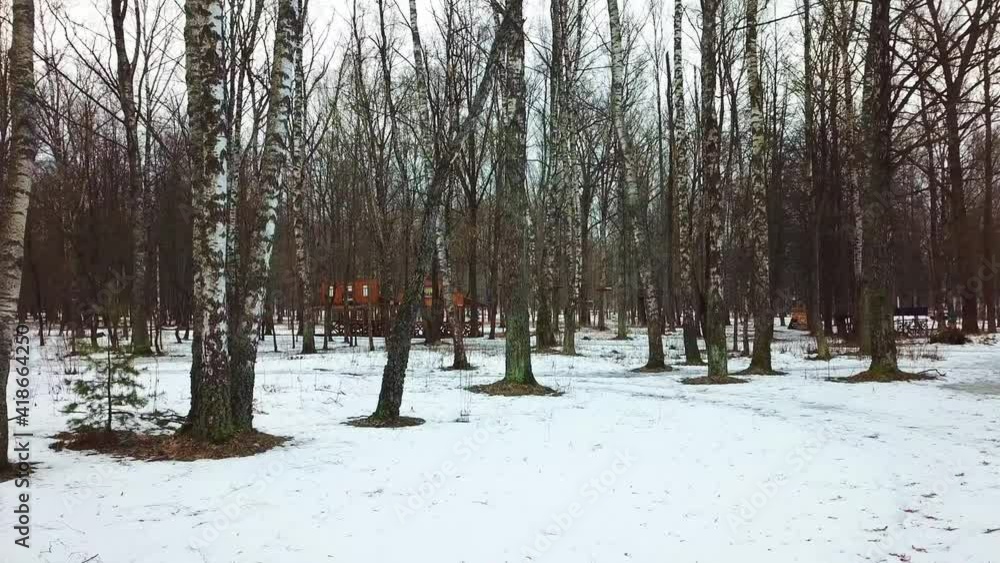 In the spring it is magical to iron the forest, and a walk through it can please any person. Spring is the golden mean between cold and gloomy winters and warm, gentle summers. The spring forest has a In the spring it is magical to iron the forest, and a walk through it can please any person. Spring is the golden mean between cold and gloomy winters and warm, gentle summers. The spring forest has a