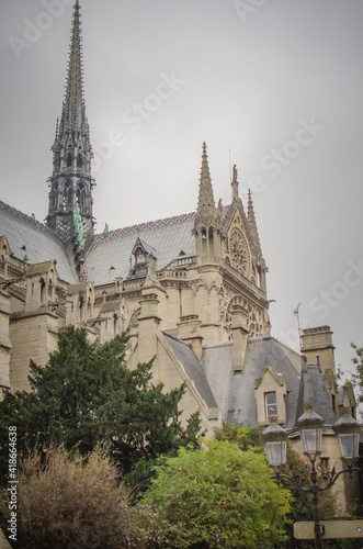 Details of Notre Dame de Paris Cathedral. Paris. France. Gargoyle mythical creature on the roof of Notre Dame de Paris Cathedral. Tower view.