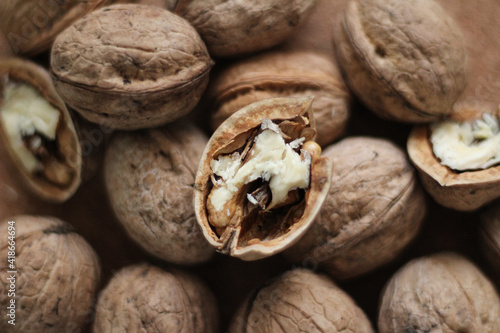 Walnuts with and without shells. Fresh walnuts