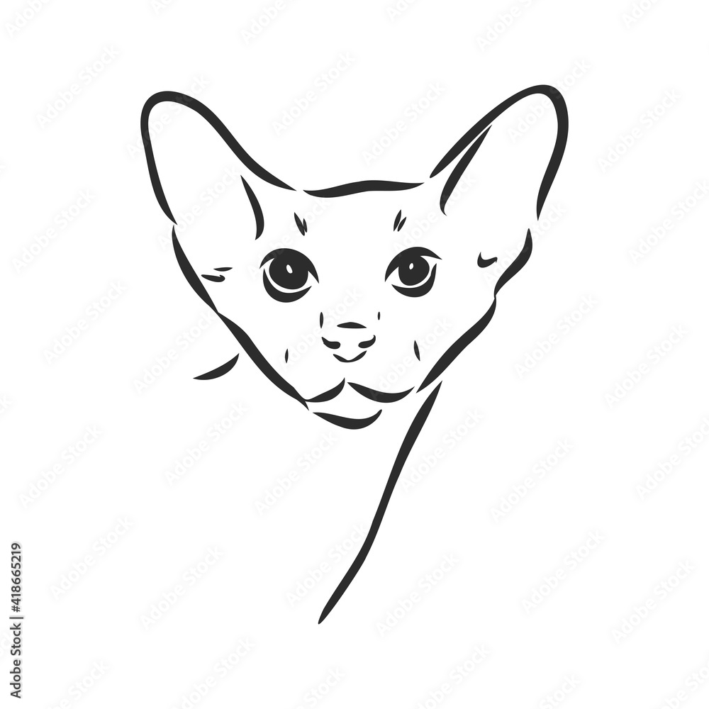 Oriental Shorthair cat. Hand drawn style print. Vector illustration. Oriental Shorthair cat. Hand drawn style print. Vector illustration.