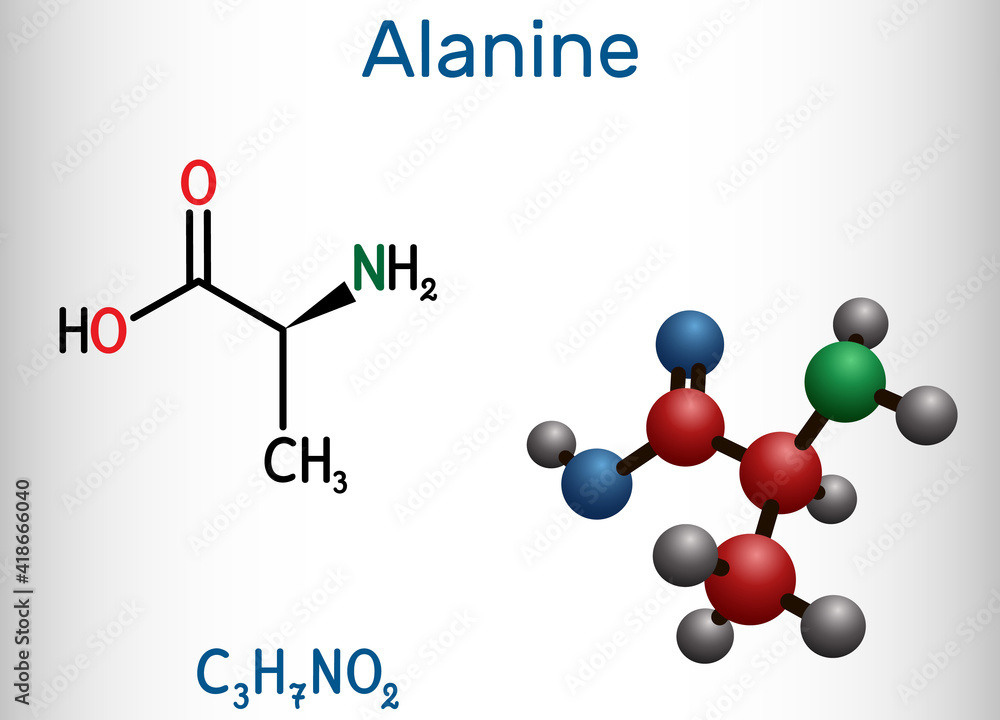 Alanine, L-alanine, Ala, A molecule. It is non-essential amino acid. Structural chemical formula and molecule model. Alanine, L-alanine, Ala, A molecule. It is non-essential amino acid. Structural chemical formula and molecule model.