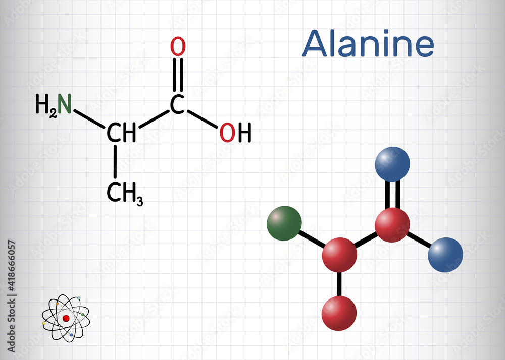 Alanine, L-alanine, Ala, A molecule. It is non-essential amino acid. Structural chemical formula and molecule model. Sheet of paper in a cage Alanine, L-alanine, Ala, A molecule. It is non-essential amino acid. Structural chemical formula and molecule model. Sheet of paper in a cage