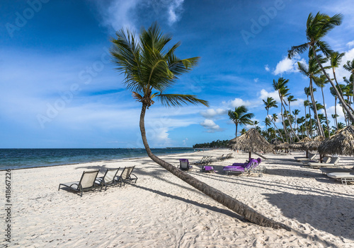 Sunbeds on the sandy beach under a palm tree photo