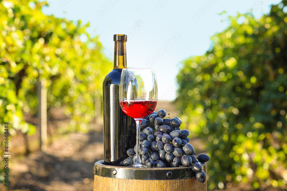 Barrel, bottle and glass of wine with ripe grapes in vineyard