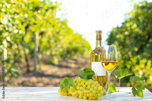 Bottle and glass of wine with ripe grapes on table in vineyard