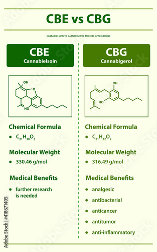 CBE vs CBG, Cannabielsoin vs Cannabigerol vertical infographic illustration about cannabis as herbal alternative medicine and chemical therapy, healthcare and medical vector.