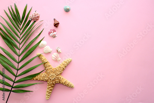 Photography Pink summer background with palm leaves, seashells and starfish, frame with copy