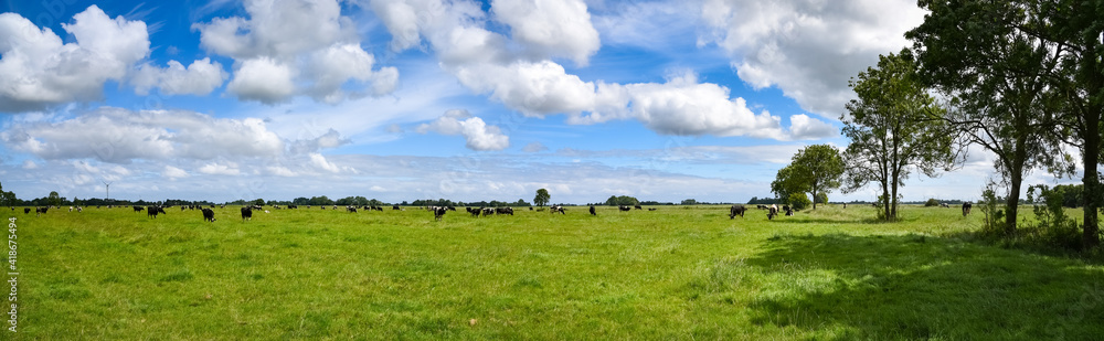 Weidetierhaltung - Kühe auf einer großen Weide. Symbolbild als Panorama. Weidetierhaltung - Kühe auf einer großen Weide. Symbolbild als Panorama.