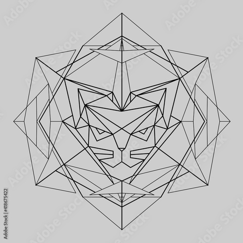 low polygonal illustration of cat in geometric frame
