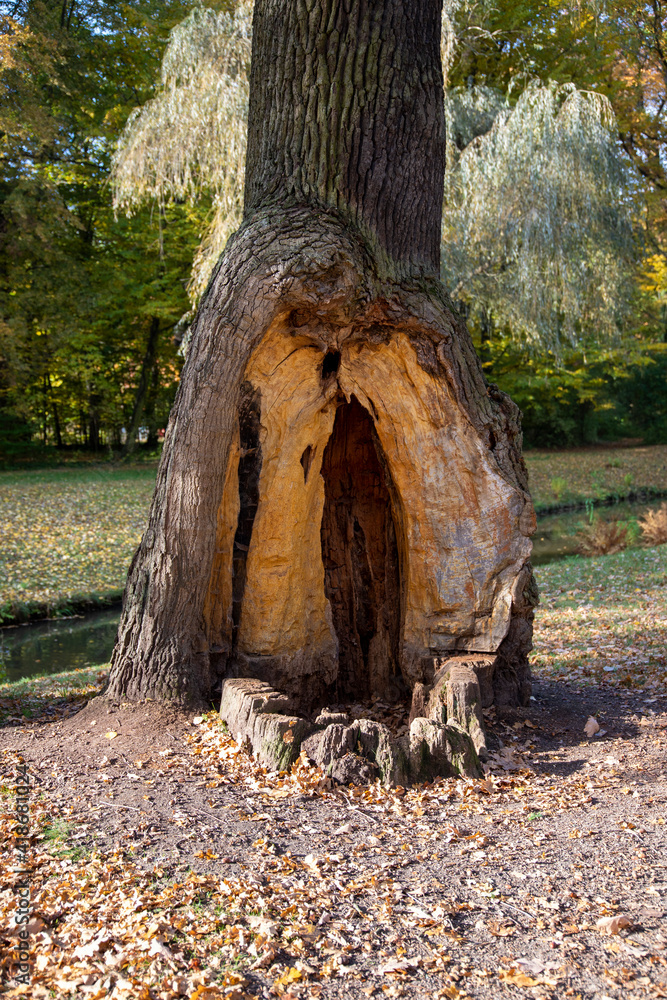 Fototapeta premium Fürst Pückler Park Bad Muskau