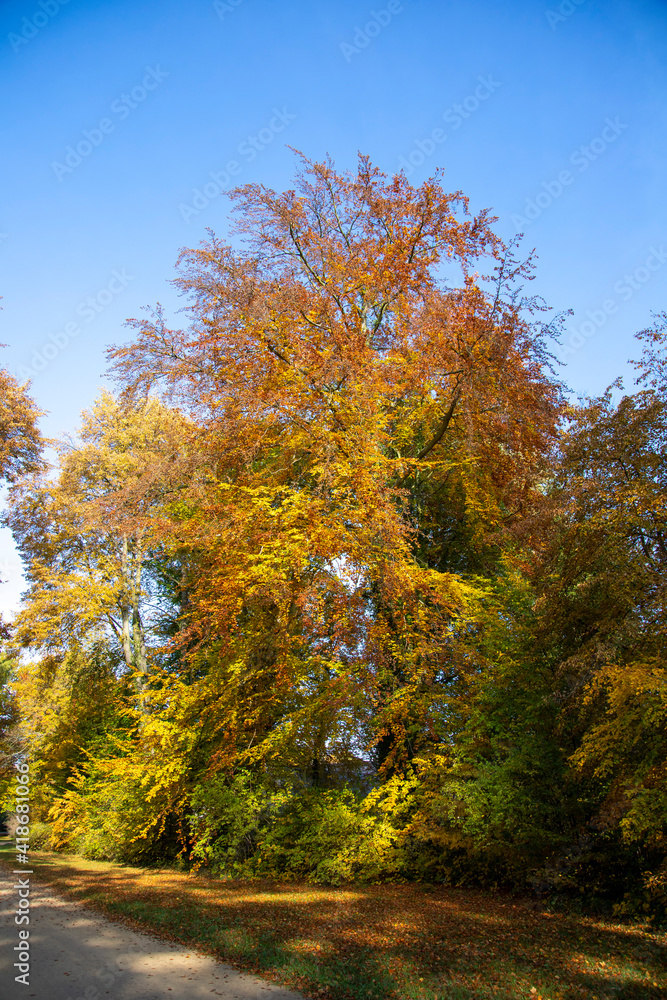 Fototapeta premium Fürst Pückler Park Bad Muskau