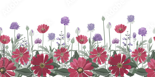 Vector floral seamless border. Summer flowers, herbs, leaves. Gaillardia, marigold, oxeye daisy, rosemary, lavender, sage, allium. Red, purple flowers isolated on a white background.