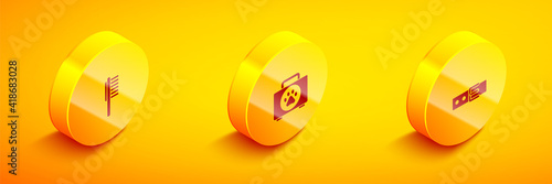 Set Isometric Pets vial medical, first aid kit and Collar with name tag icon. Vector.