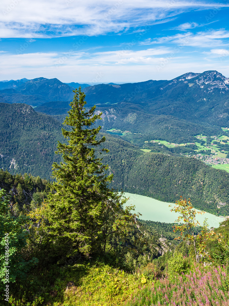 Aussicht vom Gipfel des Prediktstuhls im Berchtesgadener Land