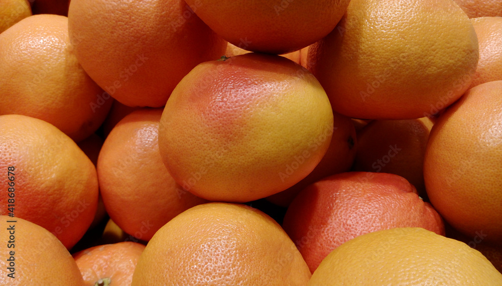 Food background. A set of fresh grapefruit on vegetable market. Grapefruit harvest. many grapefruit. grapefruits for food textures and backgrounds Food background. A set of fresh grapefruit on vegetable market. Grapefruit harvest. many grapefruit. grapefruits for food textures and backgrounds
