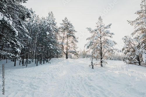 snow covered forest in winter © Andris
