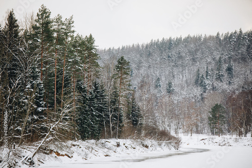 snow covered forest valley in winter