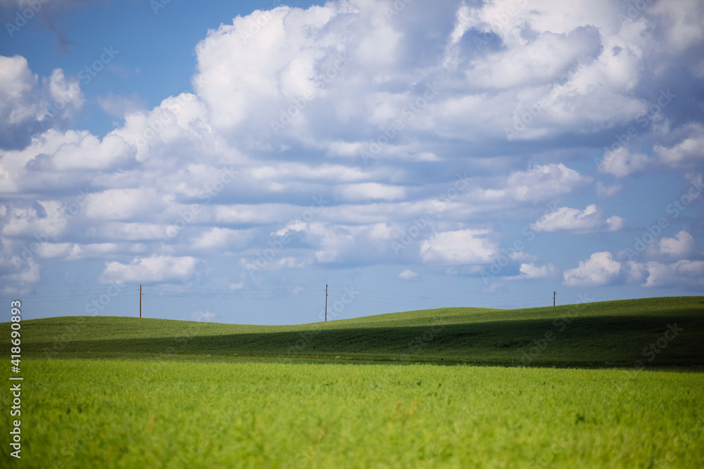 Smooth green grass field hills in countryside Smooth green grass field hills in countryside