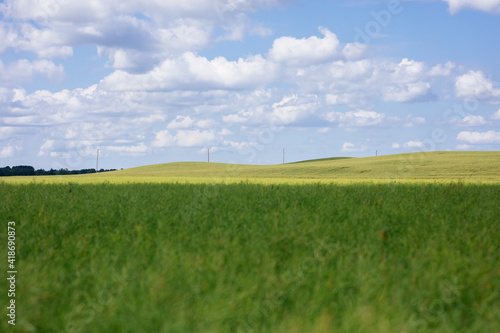 green countryside field and blue sky 
