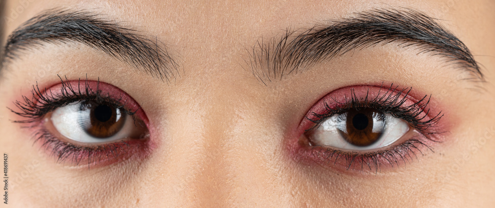 Obraz premium Macro shot of woman eye makeup with red eyeshadow. Close-up of woman eyelashes. Panoramic shot.