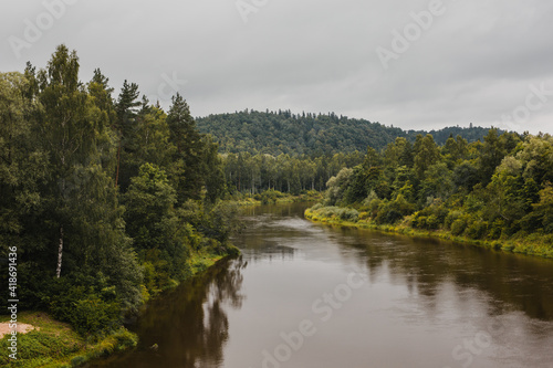 scenic green mountain forest river in summer