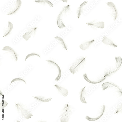 Feather isolated. Abstract bird feather texture closeup falling on white background in seamless pattern photography. Concept of sensitivity responsiveness to nature.