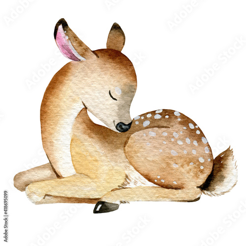 Watercolor sleeping  Fawn illustration, hand painted fawn