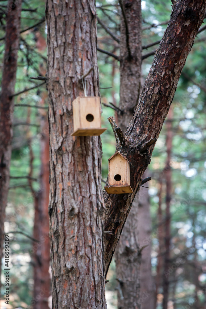 Front view, Inside the forest, wooden birdhouse attached to a pine tree trunk. Selective focus Front view, Inside the forest, wooden birdhouse attached to a pine tree trunk. Selective focus