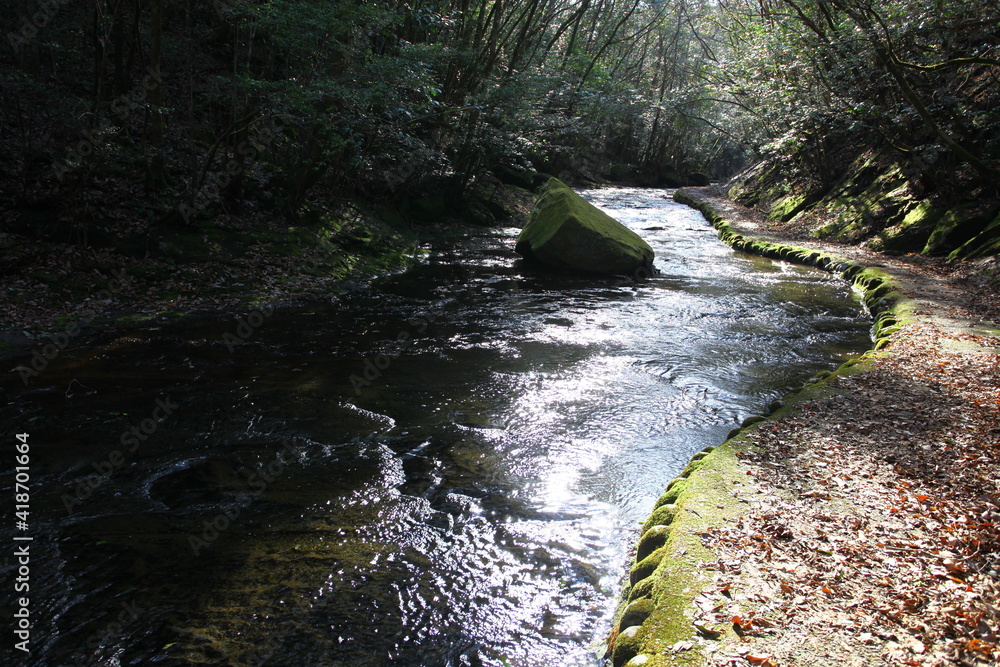Obraz premium 大分県宇佐市の岳切渓谷