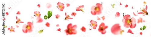 A beautiful image of spring pink flowers flying in the air