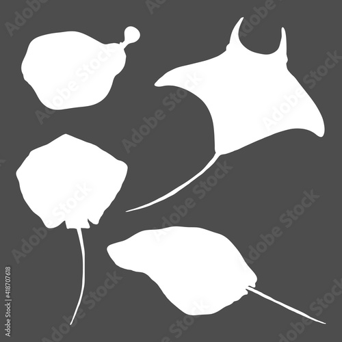 Numb-fishes Silhouette Set. Vector Collection of Stingray Illustrations