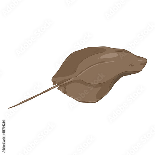Cartoon Stingray. Brown Numb-fish Vector Illustration