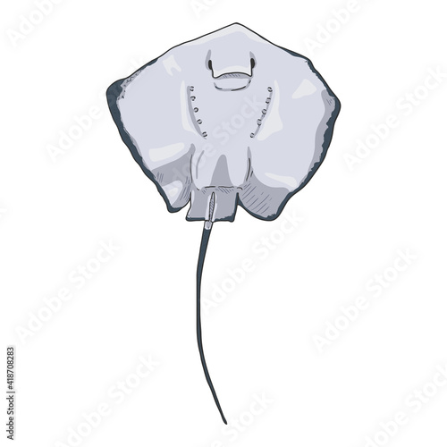 Cartoon Giant Stingray. Vector Numb-fish Illustration