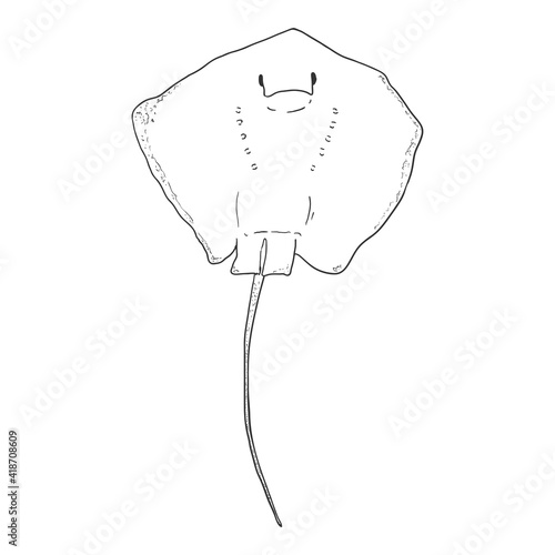 Sketch Giant Stingray. Numb-fish Vector Illustration