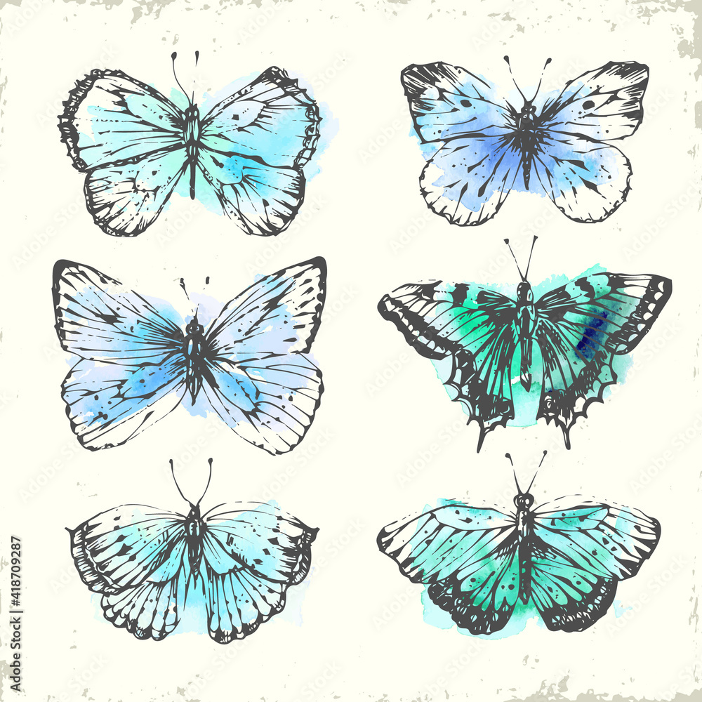 Butterflies and moths in blue, green and mint colors Butterflies and moths in blue, green and mint colors