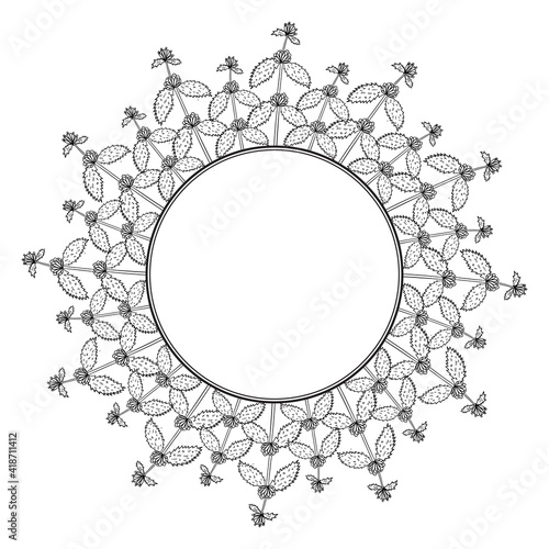 White horehound, border frame