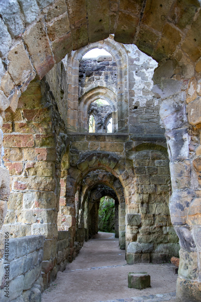 Fototapeta premium Kloster- und Burg-Ruine Oybin