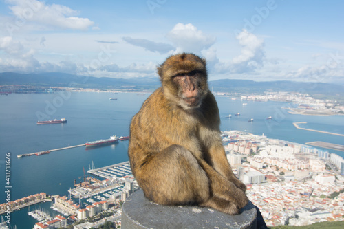 scimmia sulla rocca di gibilterra © andreafer99