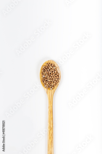 Coriander seeds in wooden spoon isolated on white background. Top view.