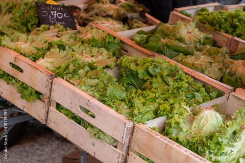 Etal de salades au marché photo