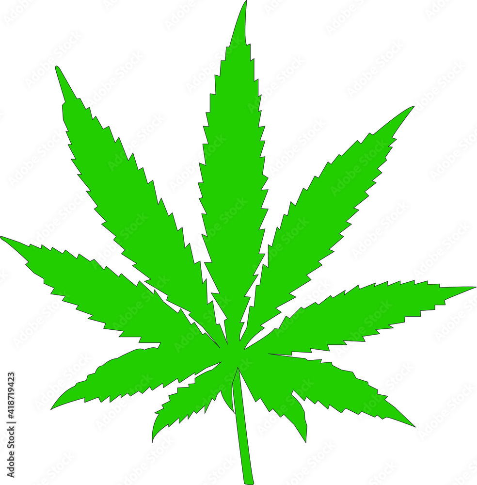 Marijuana leaf. Marijuana leaf.