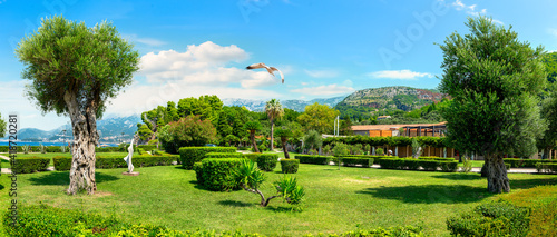 Park near Sveti Stefan