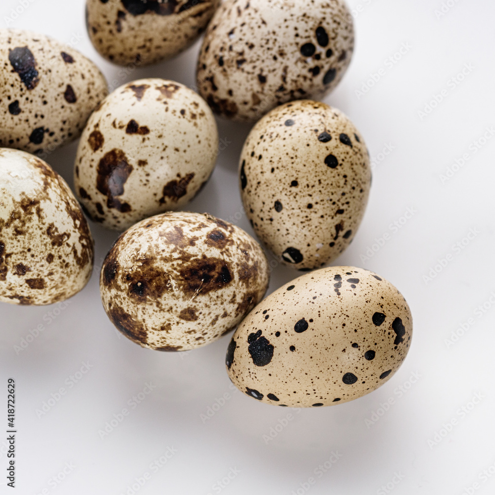 fresh quail eggs on a white acrylic background fresh quail eggs on a white acrylic background