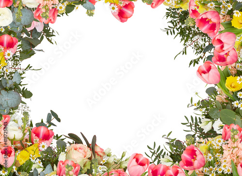 frame of flowers red tulip rose pink isolated white background with clipping path 