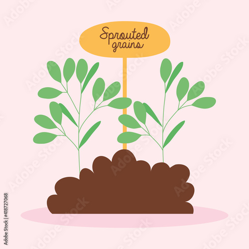 sprouted grains illustration