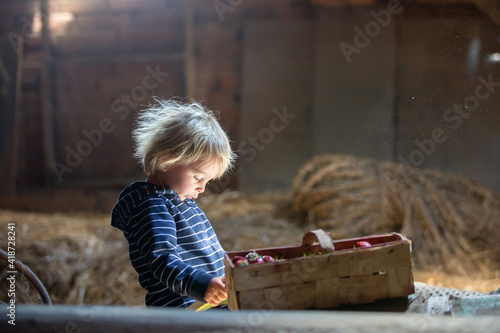 Little toddler blond boy, reading a book in the attic, nice atmosphere, strawberries