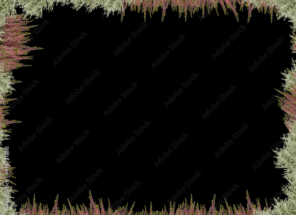 green grass frame isolated black background with clipping path green grass frame isolated black background with clipping path