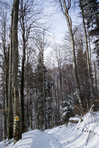 Winter landscape between Azuga and Valea Grecului. Road marked with a yellow triangle. Romania. photo